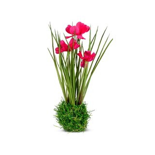 Cosmea pink 24cm auf Grassockel